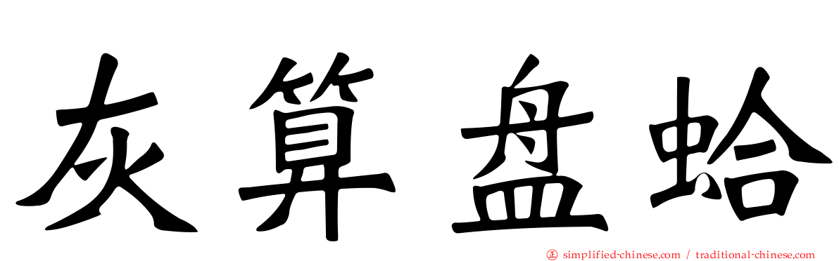 灰算盘蛤