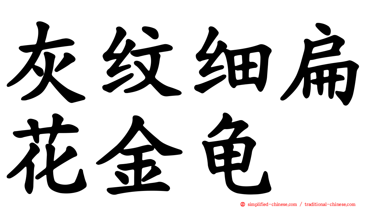 灰纹细扁花金龟