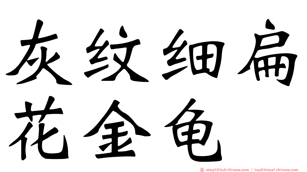 灰纹细扁花金龟