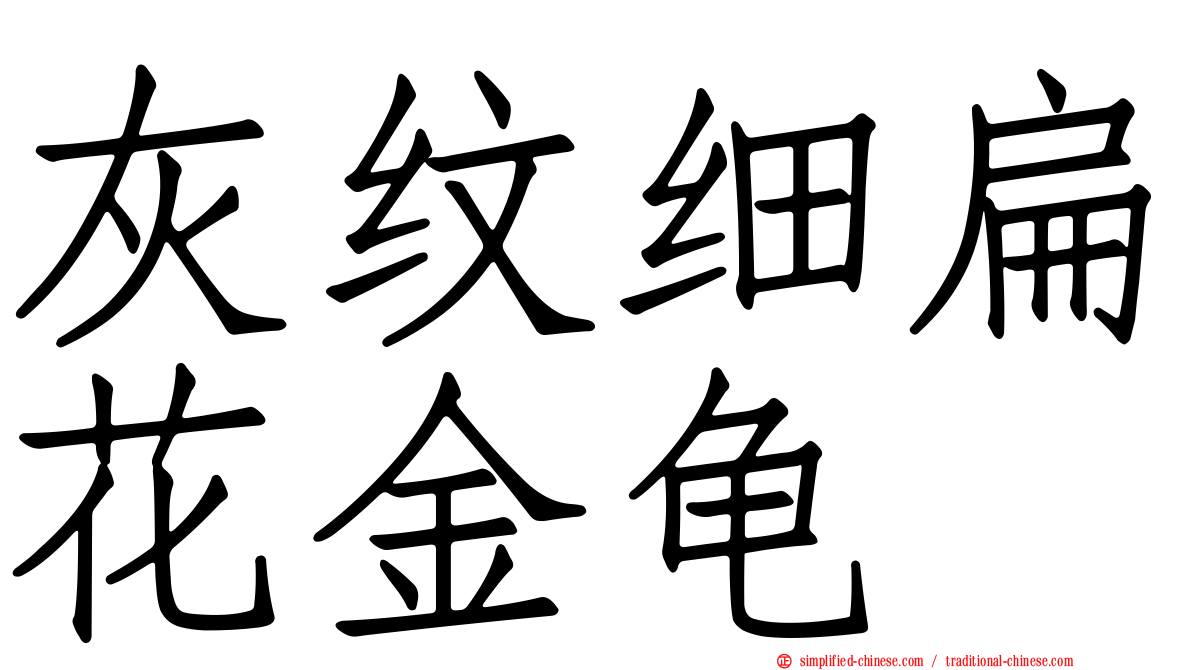 灰纹细扁花金龟
