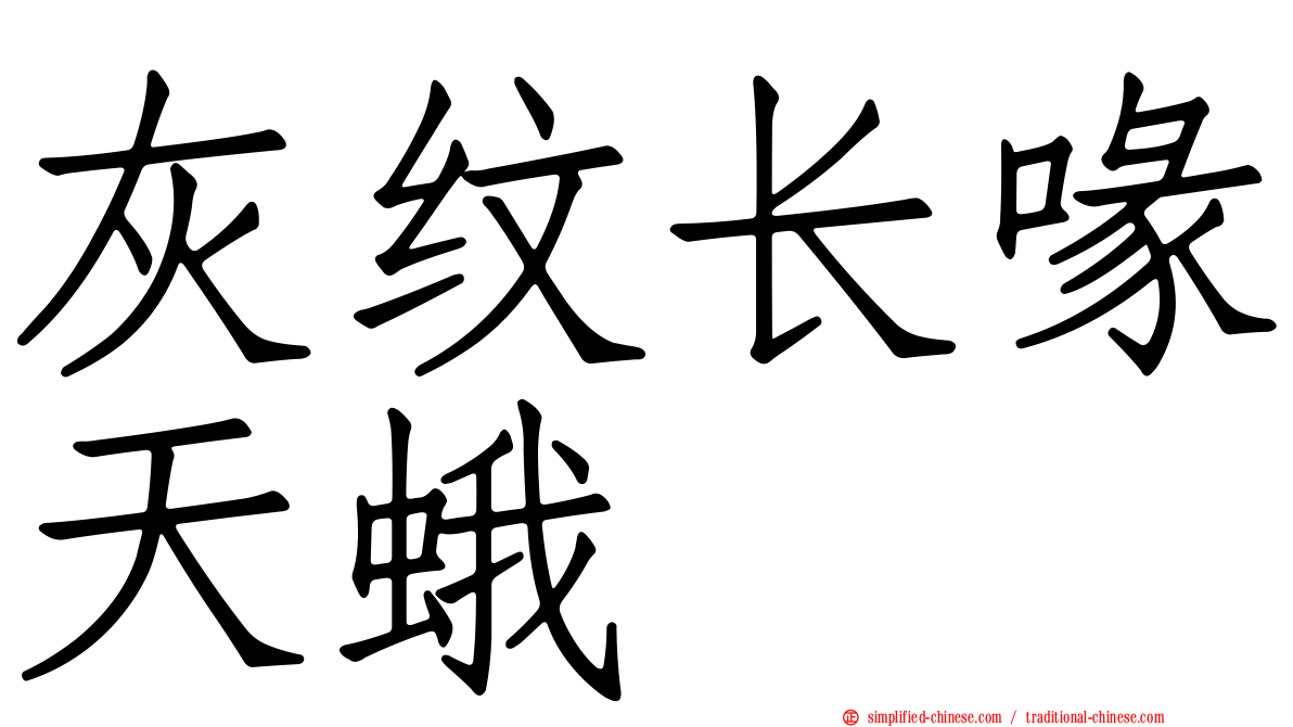 灰纹长喙天蛾