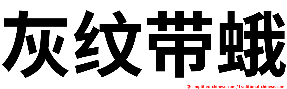 灰纹带蛾