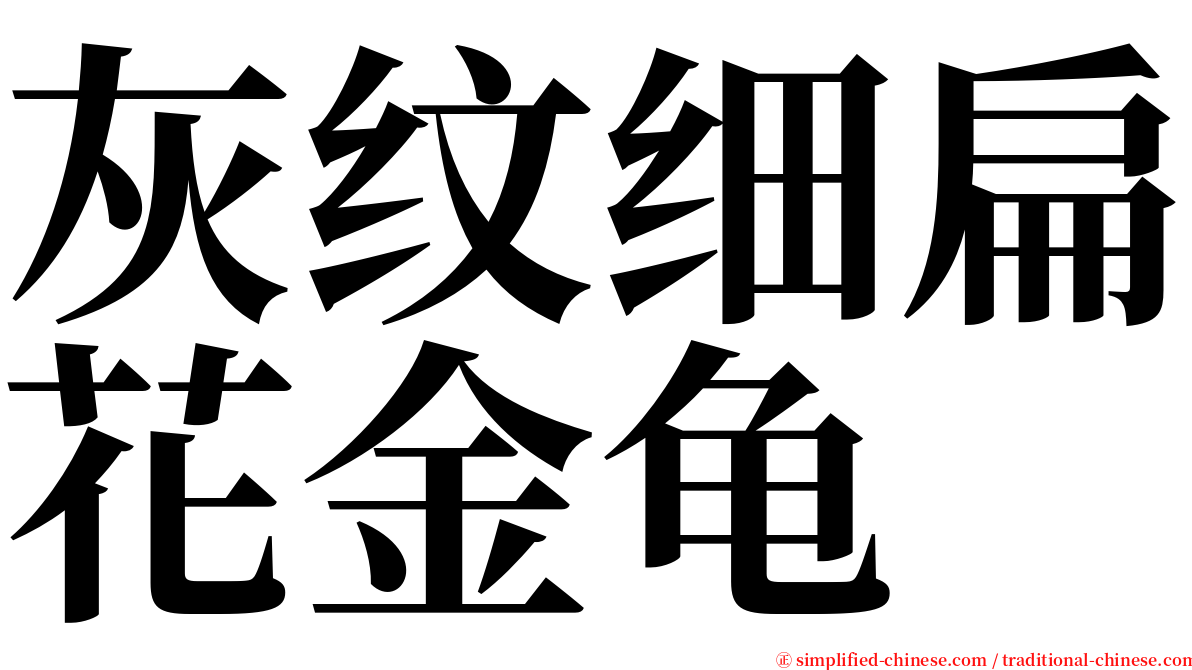 灰纹细扁花金龟 serif font
