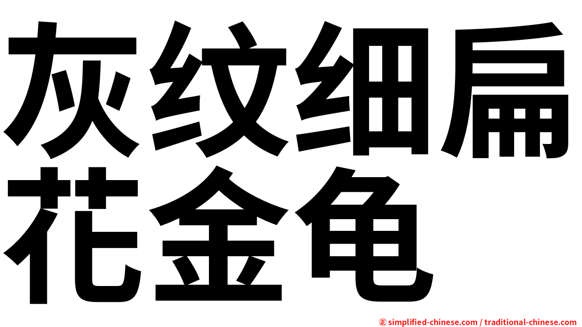灰纹细扁花金龟