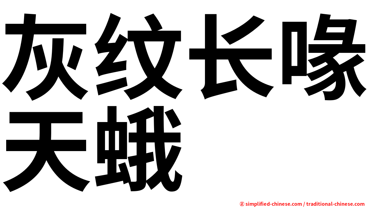 灰纹长喙天蛾