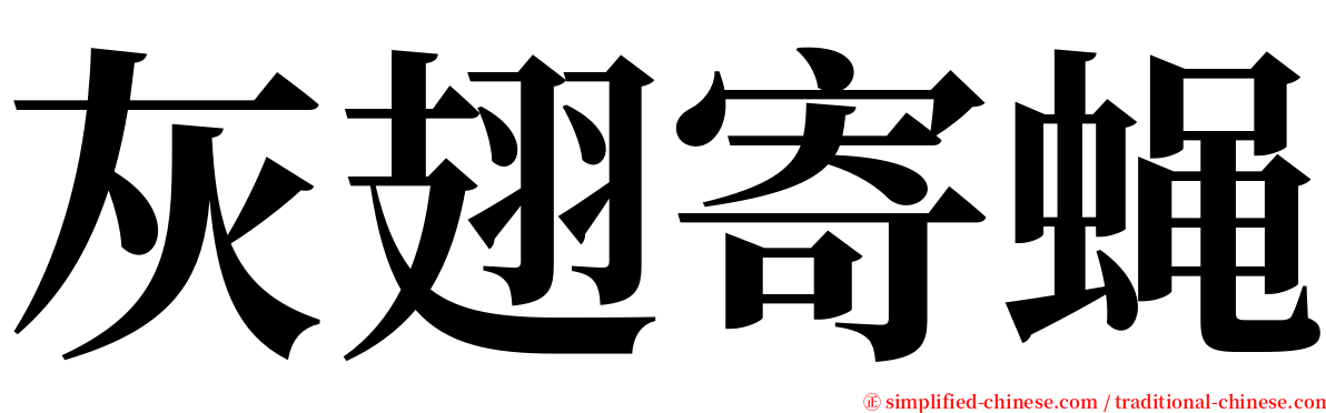灰翅寄蝇 serif font
