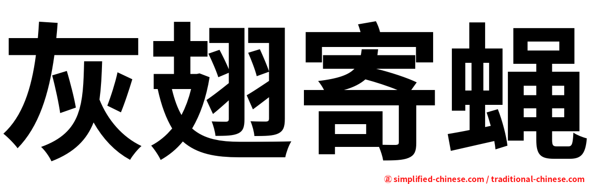 灰翅寄蝇