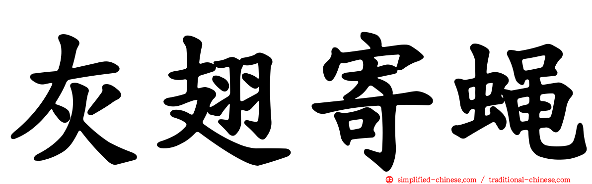 灰翅寄蝇