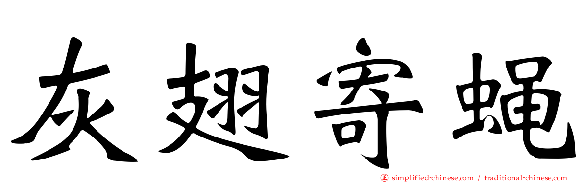 灰翅寄蝇