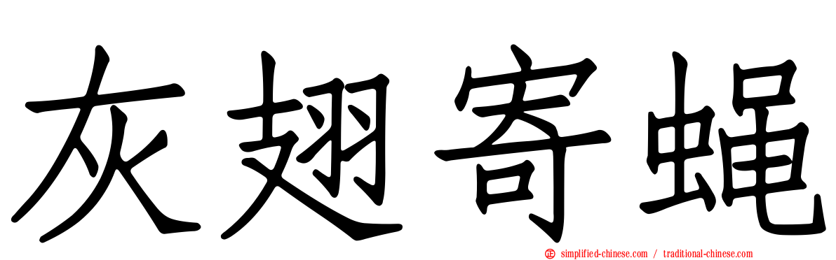 灰翅寄蝇