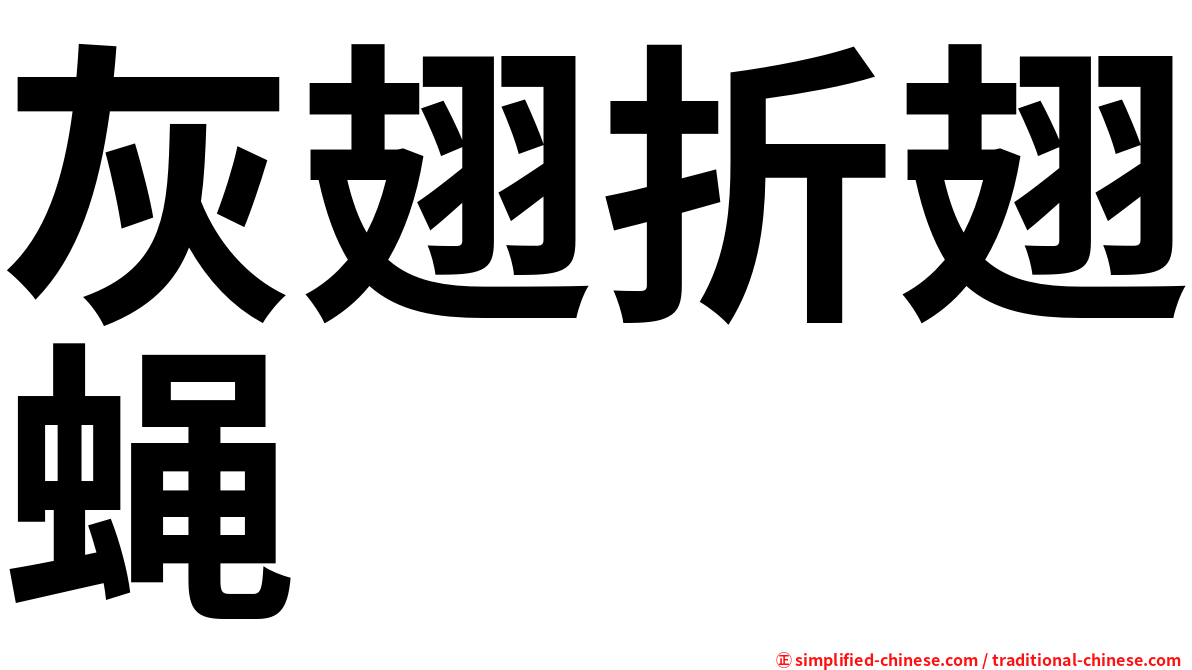 灰翅折翅蝇