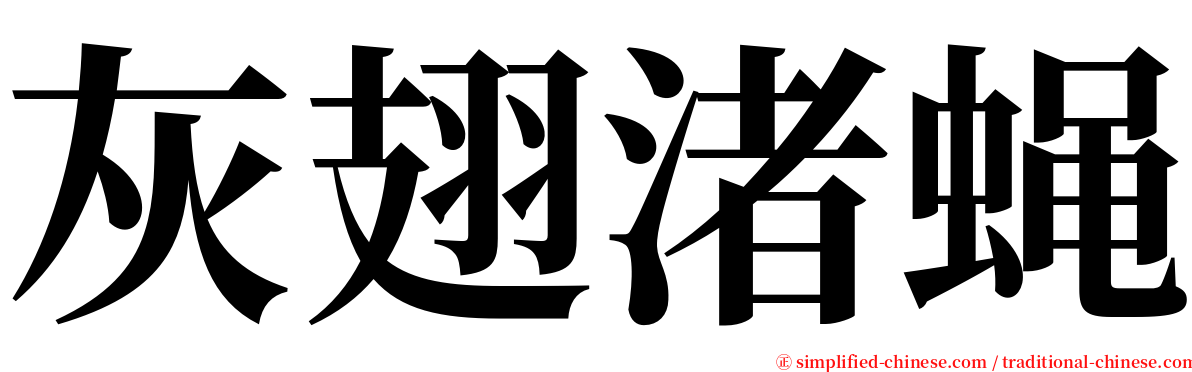 灰翅渚蝇 serif font