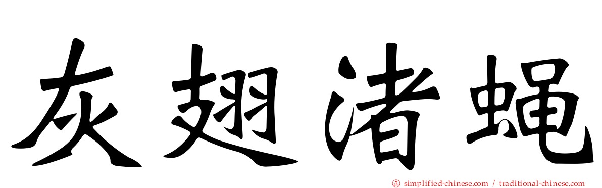 灰翅渚蝇