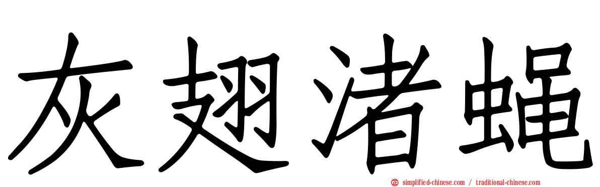 灰翅渚蝇