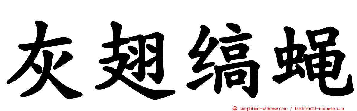 灰翅缟蝇