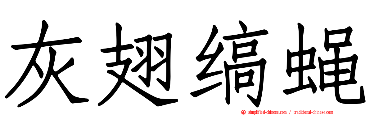 灰翅缟蝇