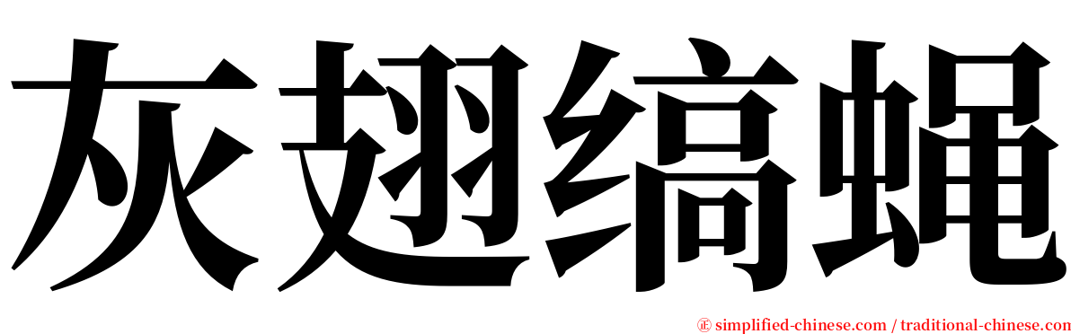 灰翅缟蝇 serif font