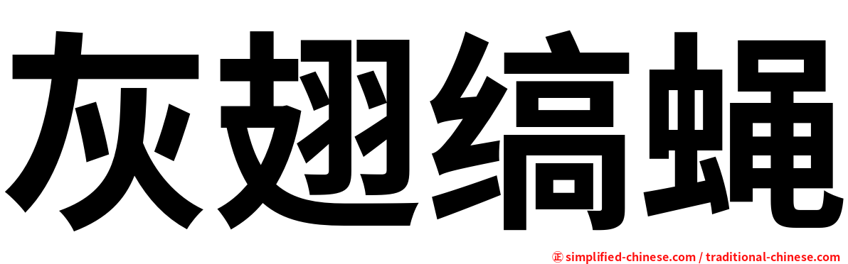 灰翅缟蝇