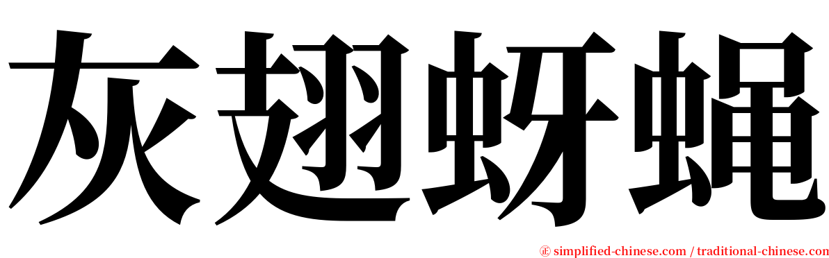 灰翅蚜蝇 serif font