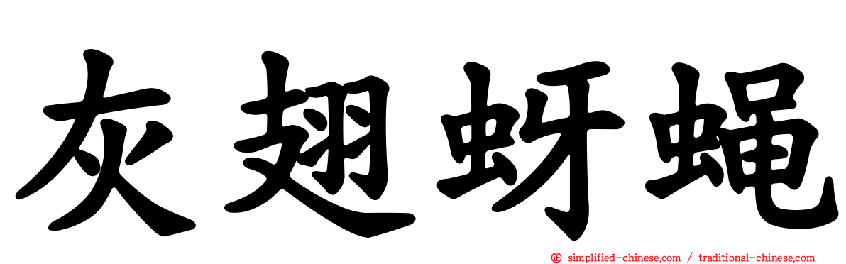 灰翅蚜蝇