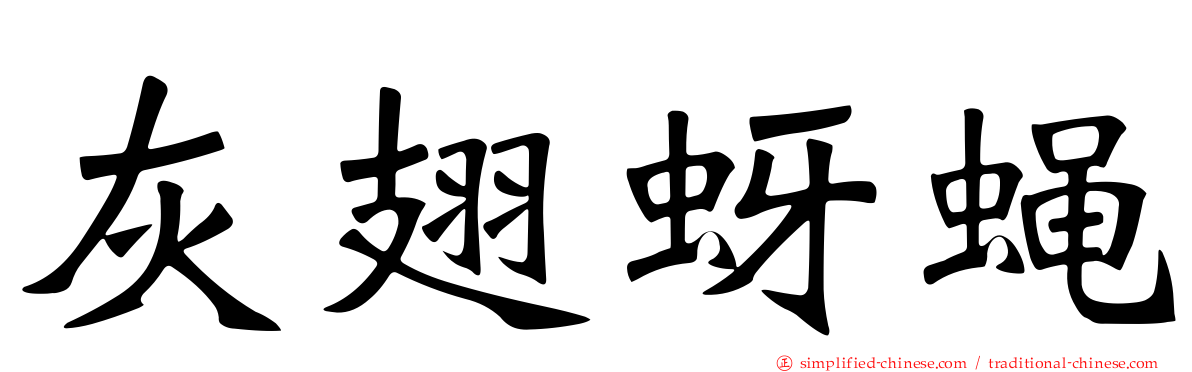 灰翅蚜蝇