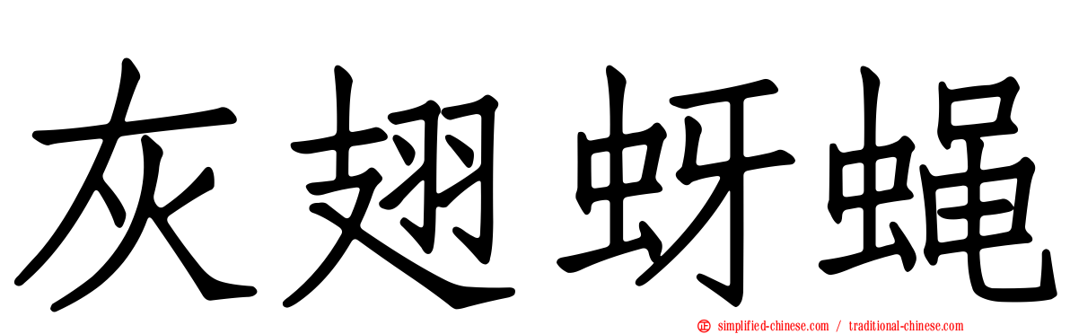 灰翅蚜蝇