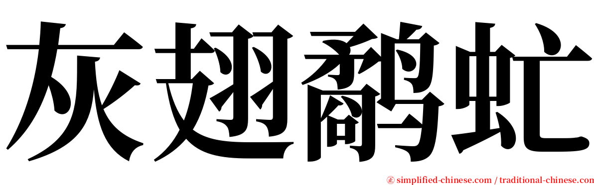 灰翅鹬虻 serif font