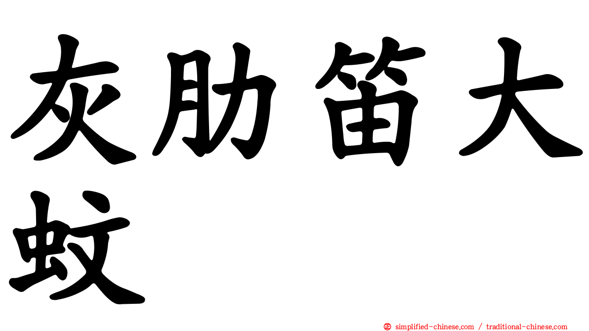 灰肋笛大蚊