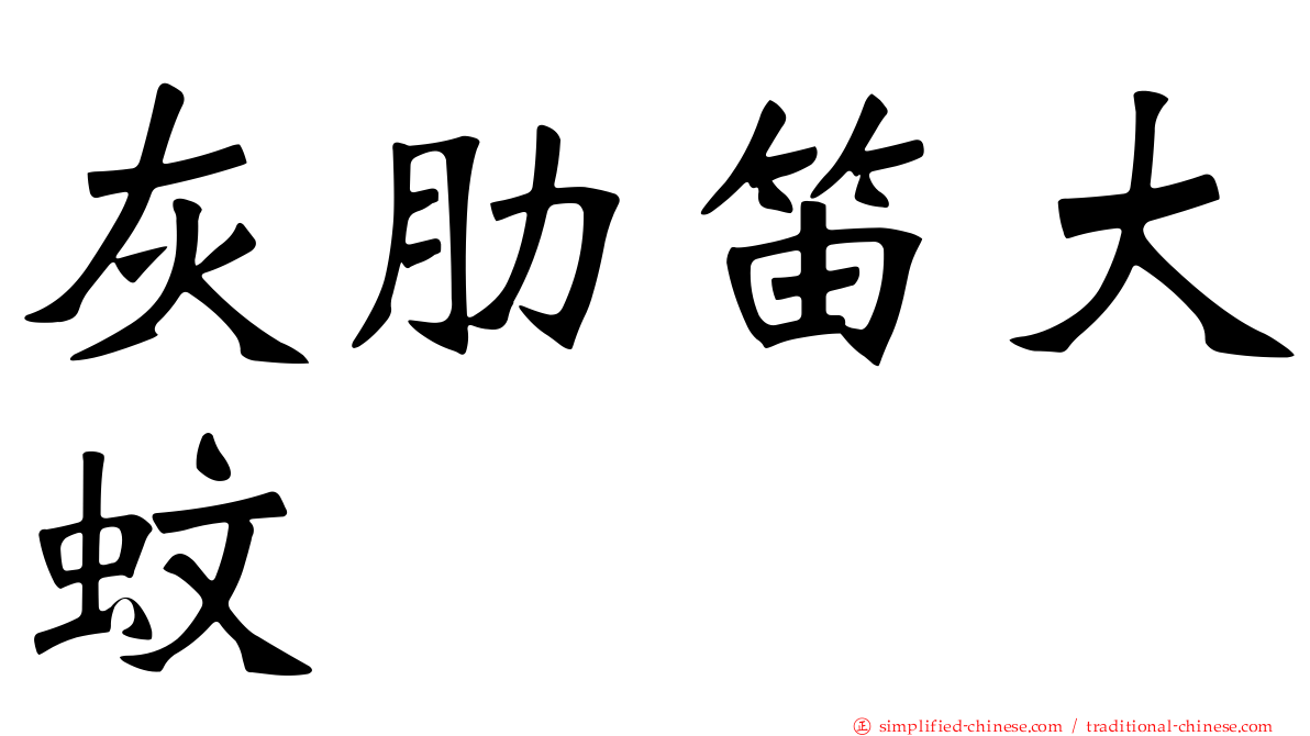 灰肋笛大蚊
