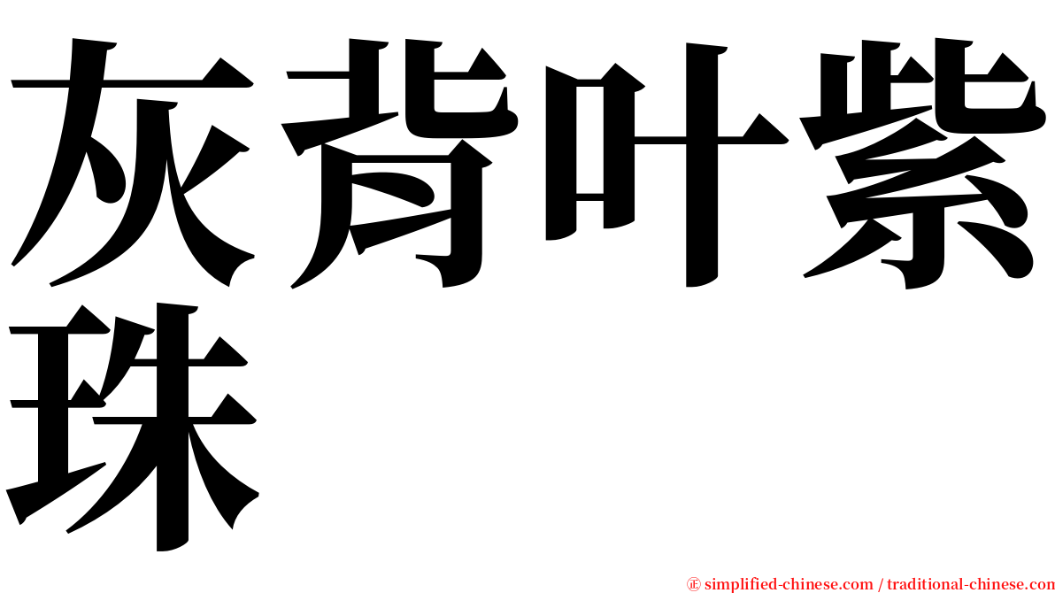 灰背叶紫珠 serif font