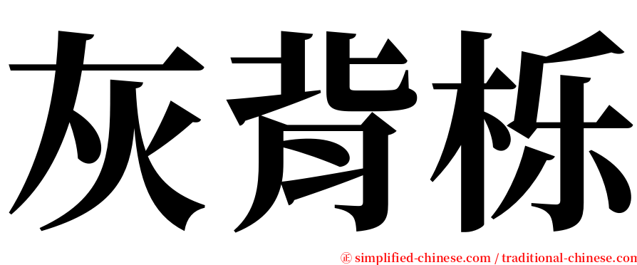 灰背栎 serif font