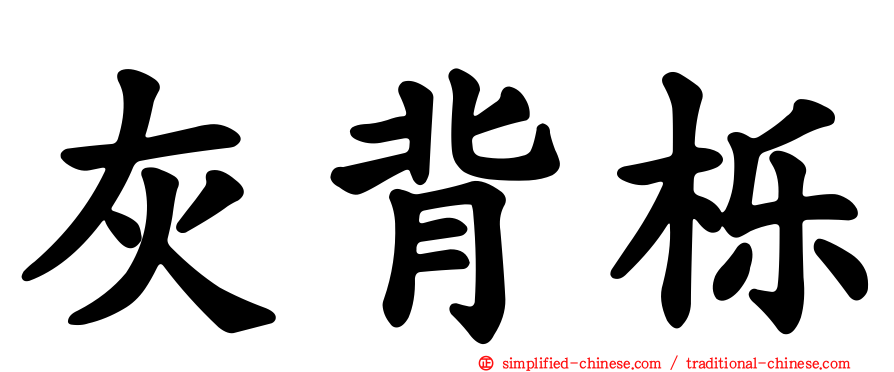 灰背栎