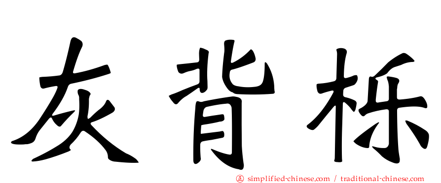灰背栎
