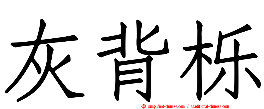 灰背栎