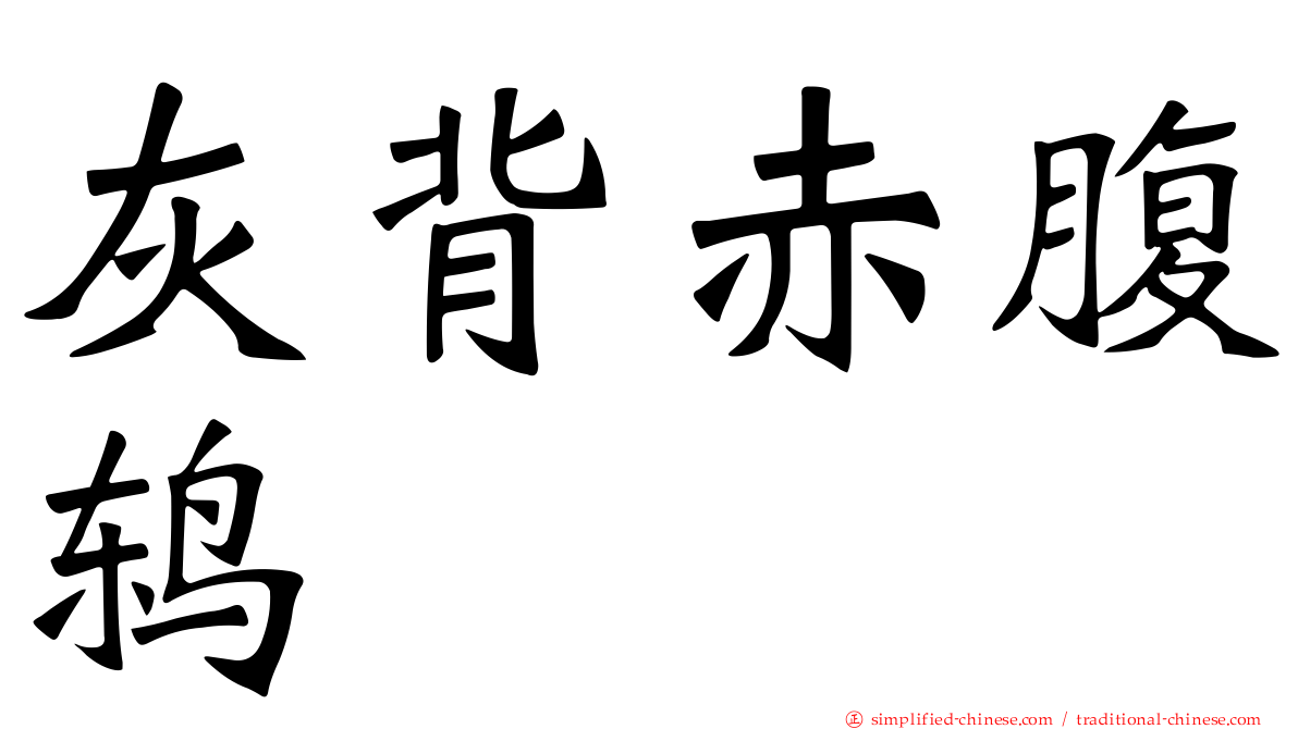 灰背赤腹鸫