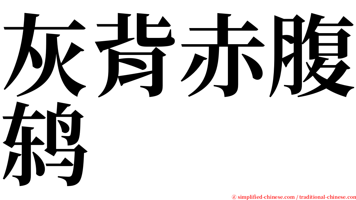 灰背赤腹鸫 serif font