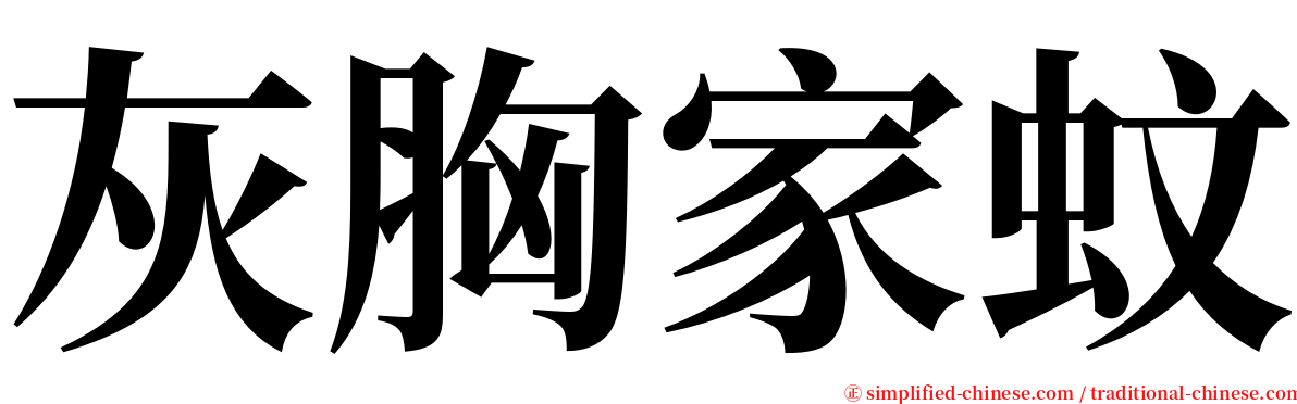灰胸家蚊 serif font