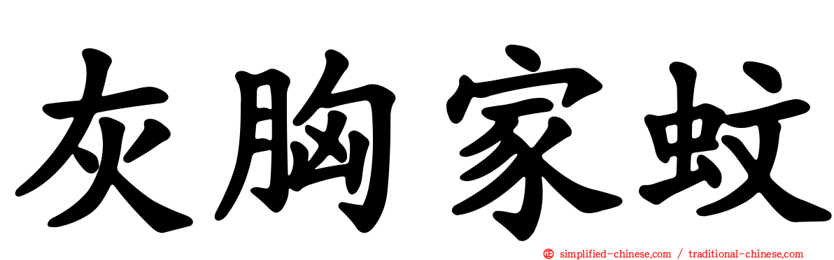 灰胸家蚊