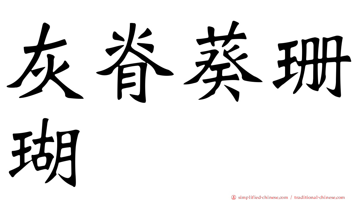 灰脊葵珊瑚