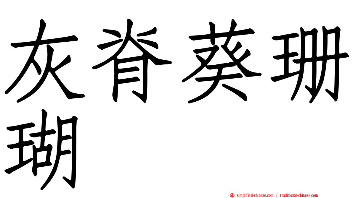 灰脊葵珊瑚