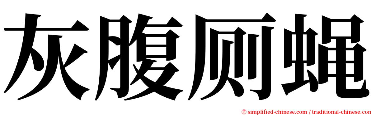 灰腹厕蝇 serif font
