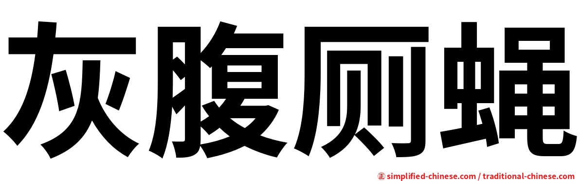 灰腹厕蝇