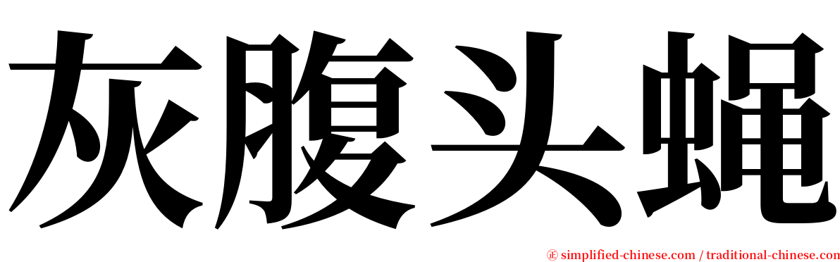 灰腹头蝇 serif font