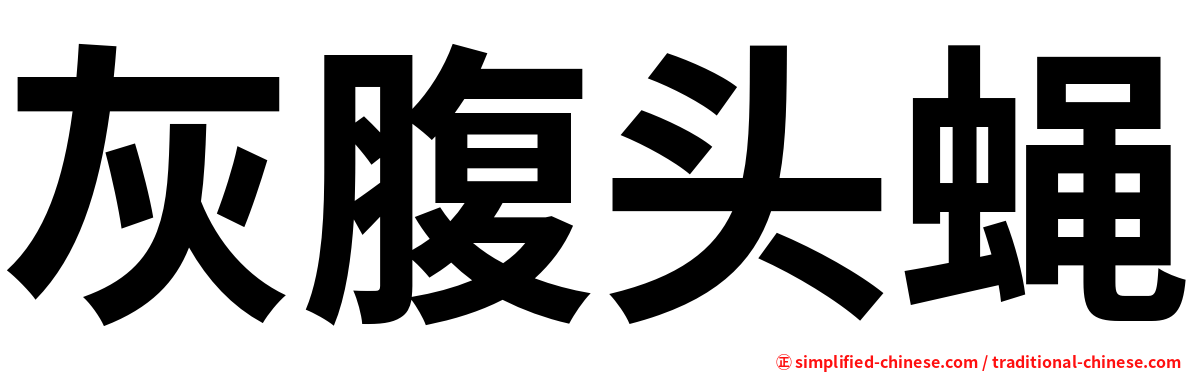 灰腹头蝇