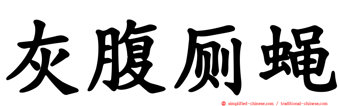 灰腹厕蝇