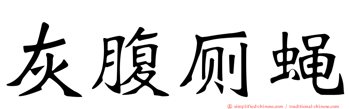 灰腹厕蝇