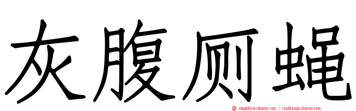 灰腹厕蝇