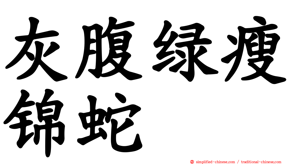 灰腹绿瘦锦蛇