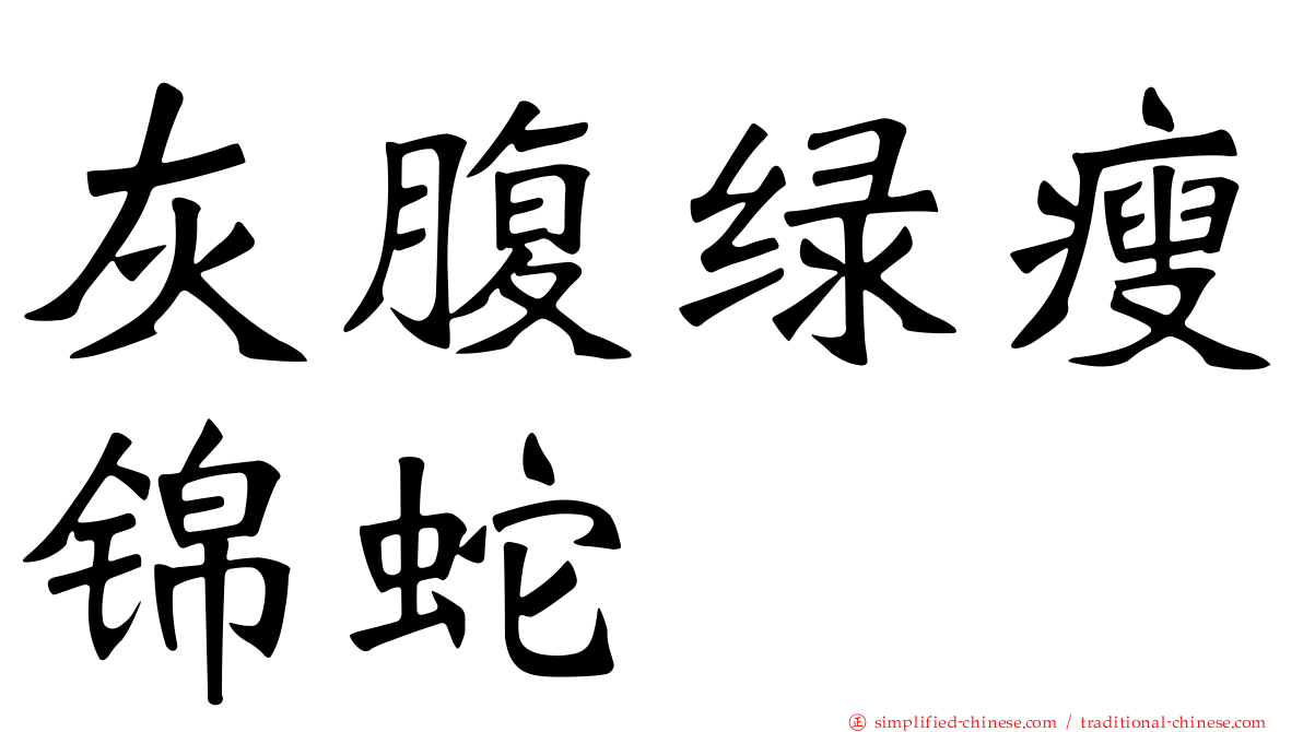 灰腹绿瘦锦蛇