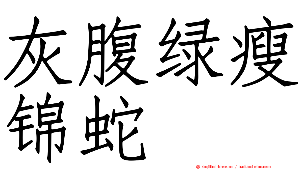 灰腹绿瘦锦蛇